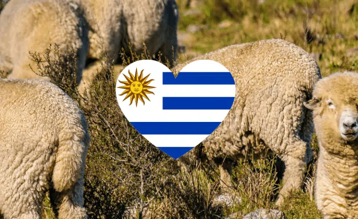 Build up your Spanish vocabulary with this fun fact about Uruguay - Easy Español - Speak Spanish now!