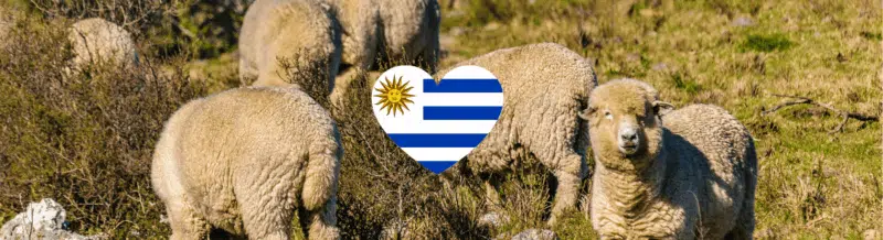 Build up your Spanish vocabulary with this fun fact about Uruguay - Easy Español - Speak Spanish now!