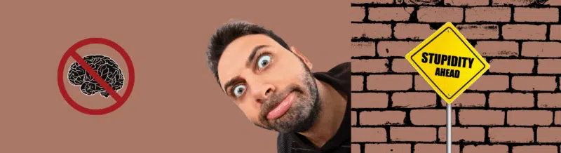 Learn new Spanish vocabulary: Zonzo - Spanish Word of the Day - Easy Español - Speak Spanish now!