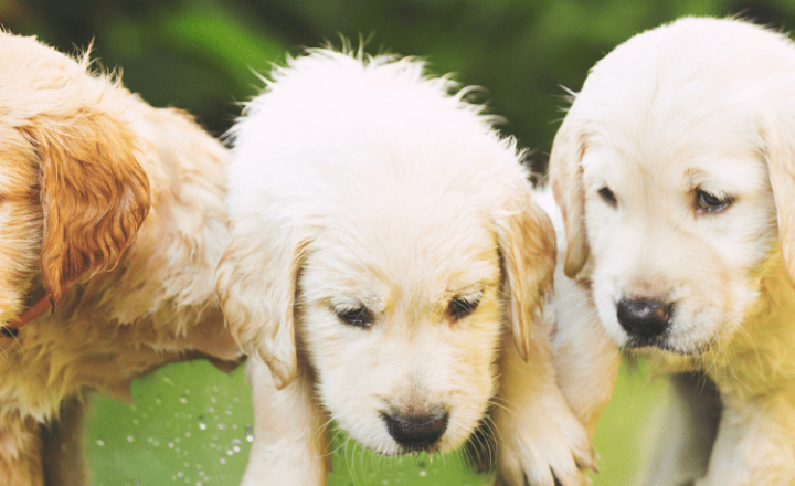 Learn the differences between MUY & MUCHO to upgrade your Spanish grammar skills (Middle Beginners & Up) - Easy Español - Speak Spanish now!