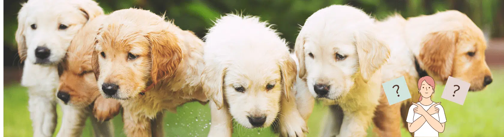 Learn the differences between MUY & MUCHO to upgrade your Spanish grammar skills (Middle Beginners & Up) - Easy Español - Speak Spanish now!