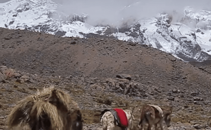 Enhance your Spanish listening ability: El último hielero de los Andes - Spanish Podcast - Spanish listening - Speak Spanish - Easy Español