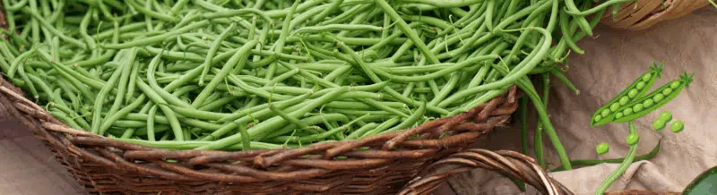 Spruce up your everyday Spanish: Judías verdes - Spanish Word of the Day - Palabra del Día - Easy Español -Speak Spanish now