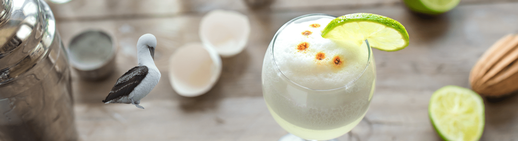 Enhance your Spanish vocabulary and cultural knowledge while learning about the origins of the word 'pisco' - Easy Español - Speak Spanish now!