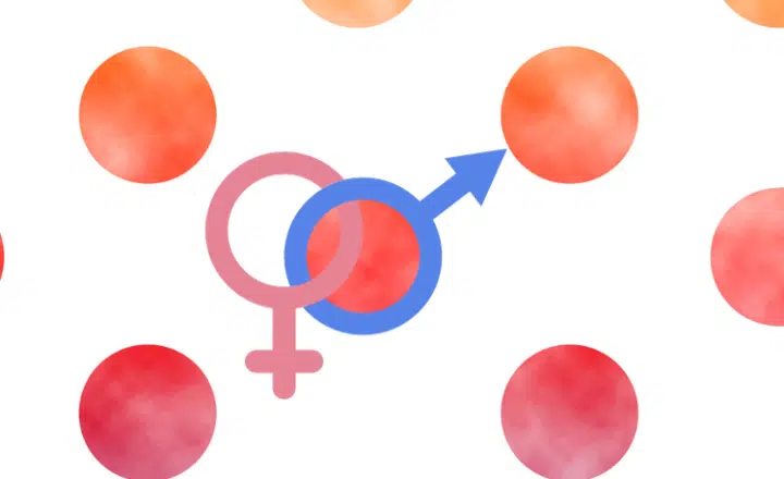 Expand your Spanish vocabulary and grammar: Words that change meaning according to their gender - Learn Spanish - Speak Spanish - Easy Español