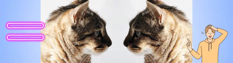 Improve your Spanish grammar skills by learning the different uses of 'MISMO' (Lower Intermediate & Up) - Spanish Grammar Bites - Learn Spanish - Speak Spanish - Study Spanish - Easy Español