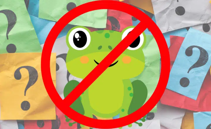 Discover new Spanish expressions: "No seas sapo" - Speak Spanish - Learn Spanish - Spanish sayings - Easy Español