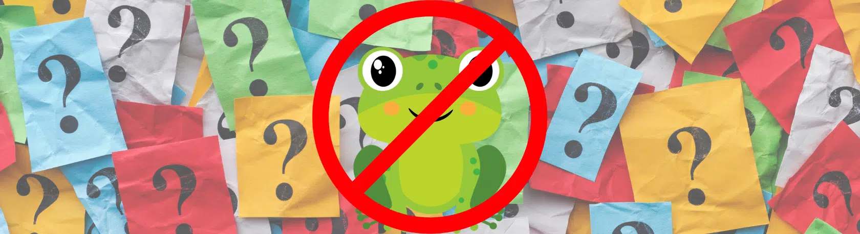 Discover new Spanish expressions: "No seas sapo" - Speak Spanish - Learn Spanish - Spanish sayings - Easy Español