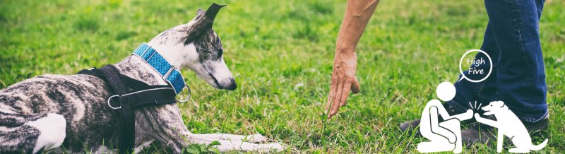 Strengthen your Spanish grammar knowledge by reviewing the conjugation of Tú en Imperativo - Speak Spanish - Learn Spanish - Practice Spanish - Easy Español