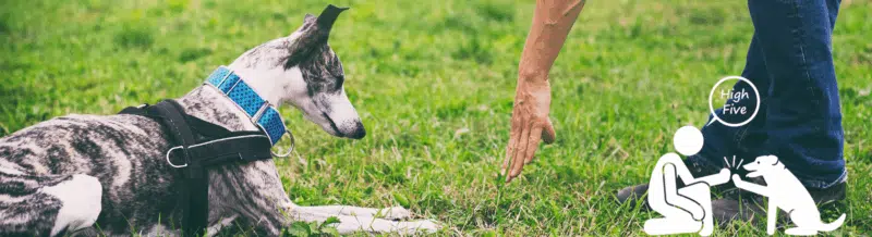 Strengthen your Spanish grammar knowledge by reviewing the conjugation of Tú en Imperativo - Speak Spanish - Learn Spanish - Practice Spanish - Easy Español