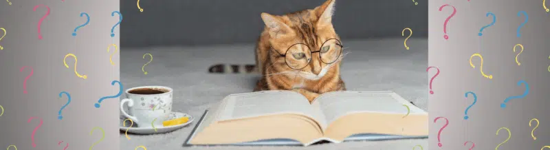 Review the uses of el Artículo Neutro LO to improve your Spanish Grammar skills - Learn Spanish - Practice Spanish - Study Spanish - Easy Español