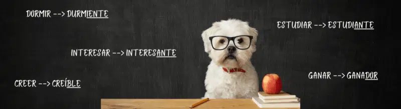 Improve your Spanish Grammar Knowledge and learn which adjetivos derive from verbos - Learn Spanish - Practice Spanish - Study Spanish - Easy Español