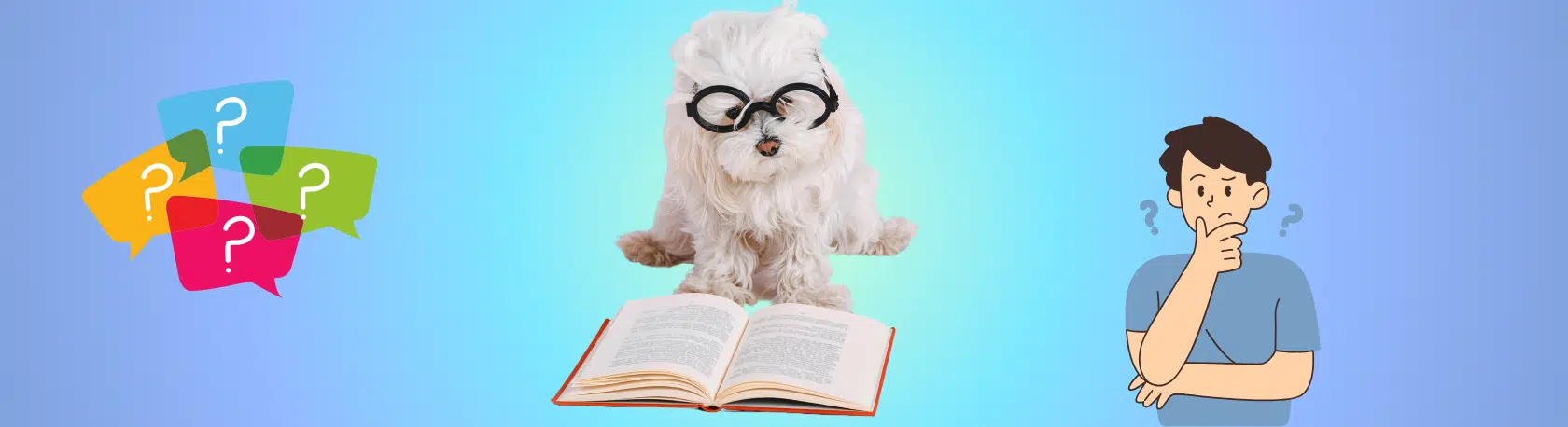 Brush up your Spanish Grammar: Differences between Saber and Conocer - Learn Spanish Grammar - Speak Spanish - Learn Spanish - Speak Spanish - Practice Spanish - Easy Español