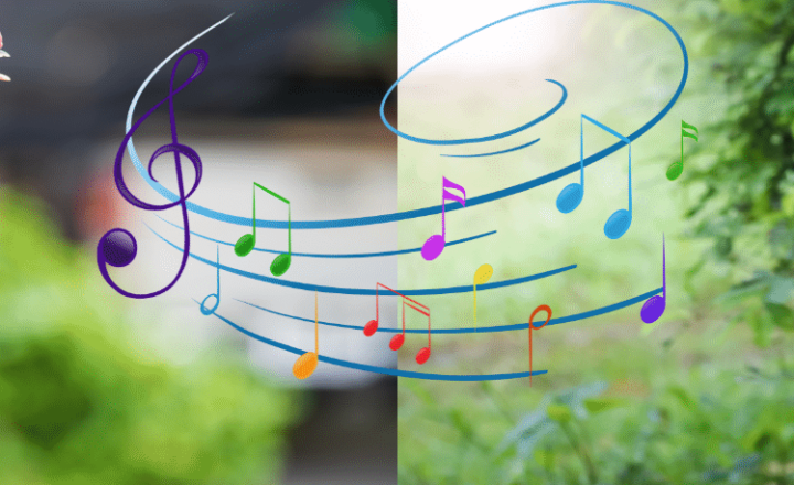 Learn Spanish Expressions: OTRO GALLO CANTARÍA - Spanish phrases - Spanish idioms - Speak Spanish - Study Spanish - Learn Spanish - Easy Español