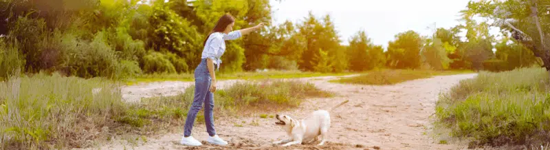 Review the uses of the Imperativo to keep your Spanish Grammar skills sharp - Learn Spanish - Study Spanish - Speak Spanish - Easy Español