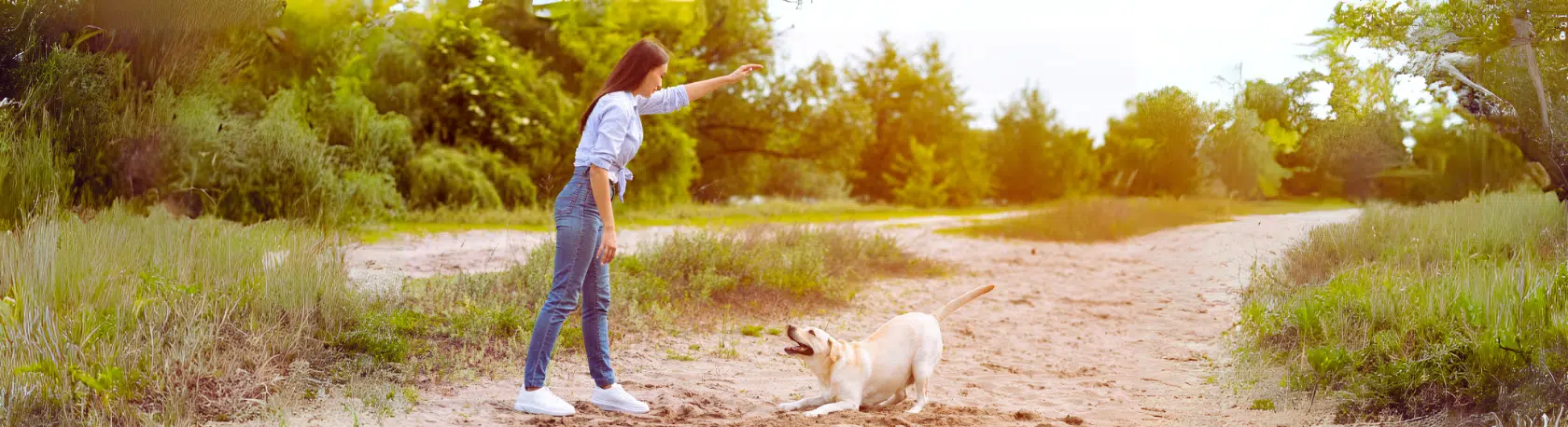 Review the uses of the Imperativo to keep your Spanish Grammar skills sharp - Learn Spanish - Study Spanish - Speak Spanish - Easy Español