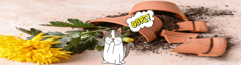 Test your Spanish Grammar skills with this easy review of el SE Accidental (Intermediates)