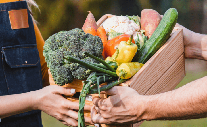 Practice los PRONOMBRES de OBJETO DIRECTO and improve your Spanish Grammar - Learn Spanish - Study Spanish - Spanish Practice - Speak Spanish - Easy Español