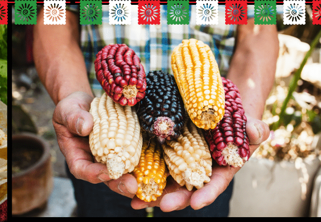 Spruce up your Spanish listening comprehension abilities while learning more about LAS TORTILLAS MEXICANAS - Spanish Podcast - Spanish on the Go - Learn Spanish - Practice Spanish - Study Spanish - Easy Español