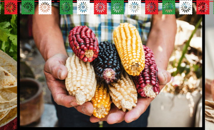 Spruce up your Spanish listening comprehension abilities while learning more about LAS TORTILLAS MEXICANAS - Spanish Podcast - Spanish on the Go - Learn Spanish - Practice Spanish - Study Spanish - Easy Español