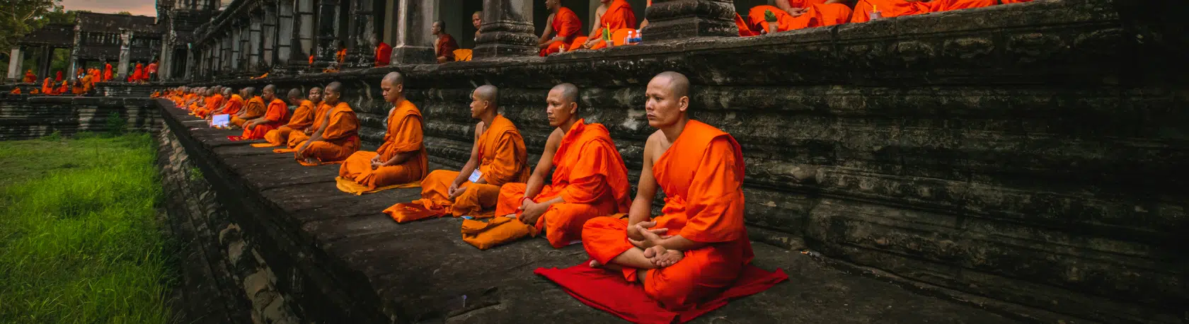 Palabra del Día: Bonzo - Spanish Word of the Day - Learn Spanish - Speak Spanish - Practice Spanish - Easy Español