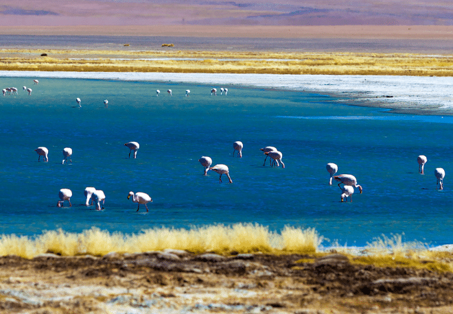 Listen to our Spanish Podcast and learn more about Chile's fascinating DESIERTO DE ATACAMA