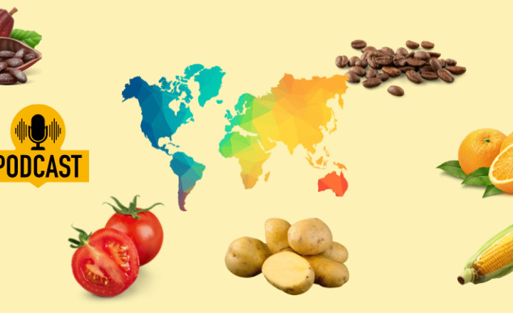 Listen to this mind-blowing Spanish Podcast to discover how our CULINARY TRADITIONS changed forever thanks to the ENCOUNTER OF TWO WORLDS - Spanish on the Go - Spanish audio - Learn Spanish - Speak Spanish - Practice Spanish - Easy Español