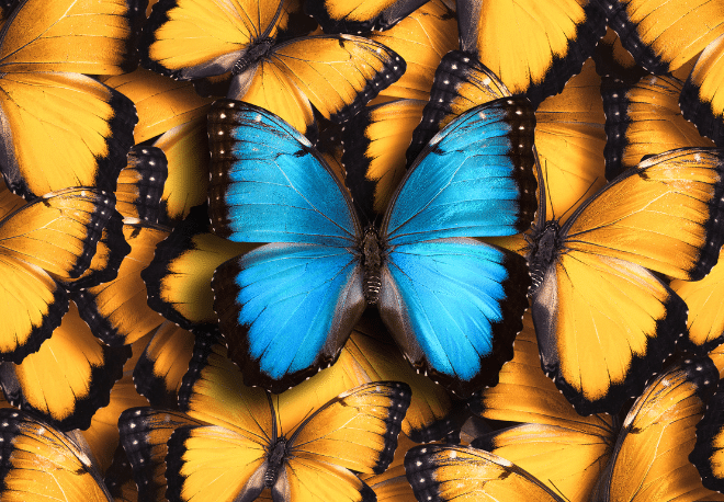 Let's review the uses of AMBOS, CADA, TODO, TODAS and TODOS - Spanish grammar - Learn Spanish - Speak Spanish - Practice Spanish - Study Spanish - Easy Español