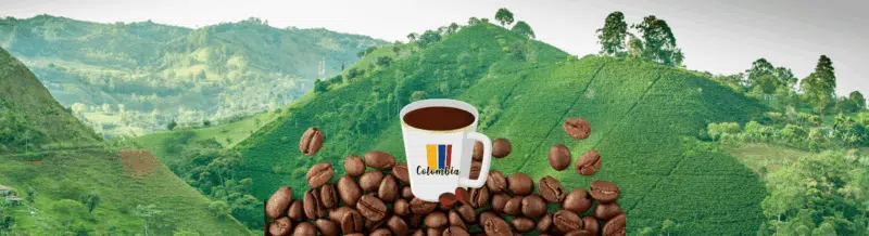 Grab a cup of coffee and listen to our Spanish Podcast to learn all about Colombia's world-famous RUTA DEL CAFÉ - Easy Español