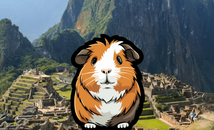 Learn why EL CUY is an important symbol of Andean cultural identity on our Spanish Podcast - Spanish on the Go - Spanish audio - Spanish listening comprehension - Speak Spanish - Study Spanish - Easy Español