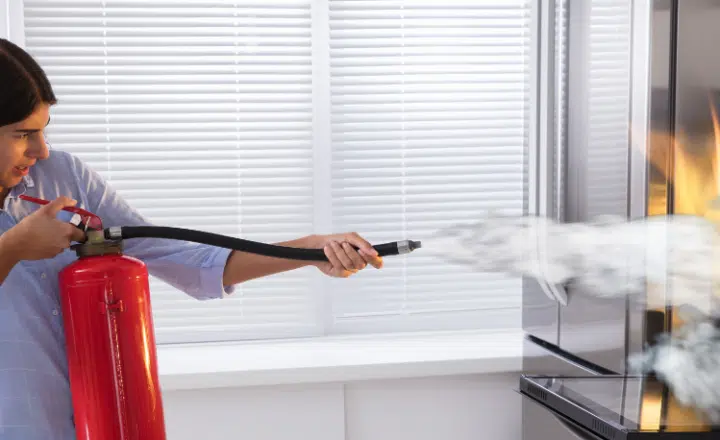 Spanish expression: Sacar las papas del fuego - Sacar las castañas del fuego - Learn Spanish - Speak Spanish - Study Spanish - Easy Español