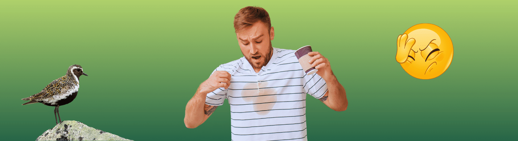 Spanish expression: Tener cabeza de chorlito - Learn Spanish - Frase del día - Speak Spanish - Practice Spanish - Easy Español