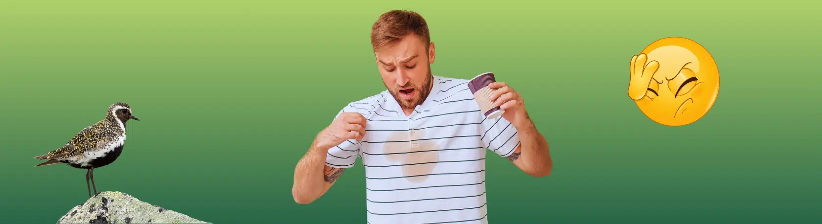 Spanish expression: Tener cabeza de chorlito - Learn Spanish - Frase del día - Speak Spanish - Practice Spanish - Easy Español