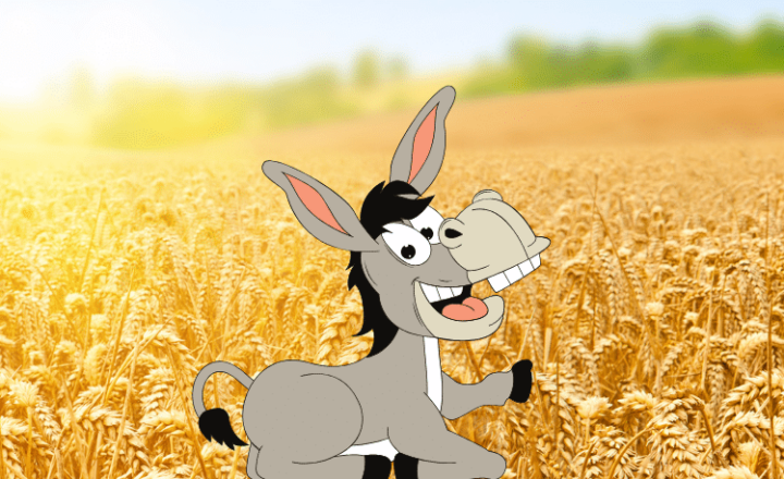 Spanish expression: Otra vez la mula al trigo - Learn Spanish - Practice Spanish - Speak Spanish - Easy Español