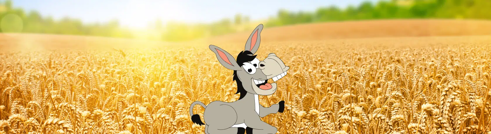 Spanish expression: Otra vez la mula al trigo - Learn Spanish - Practice Spanish - Speak Spanish - Easy Español