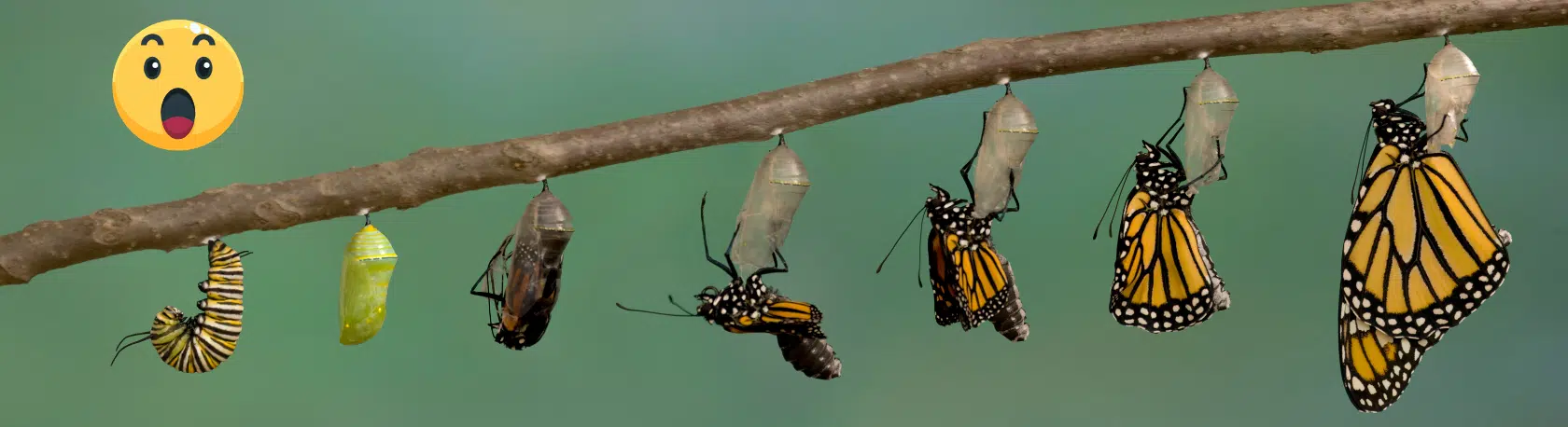 Spanish saying: Quién te ha visto y quién te ve - Spanish expressions - Speak Spanish - Learn Spanish - Practice Spanish - Easy Español