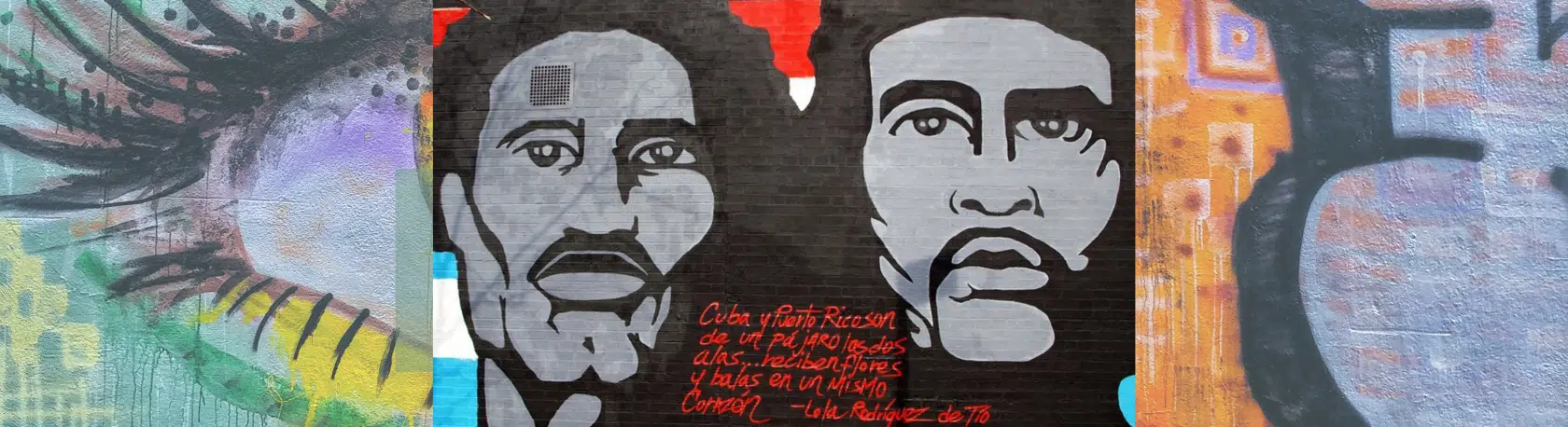 Street Art Spanish Tour: Hispanic Harlem, a History of Class Struggle - Tour in Spanish - Speak Spanish - Spanish Tour in NYC - Spanish in New York - Spanish Conversation - Easy Español