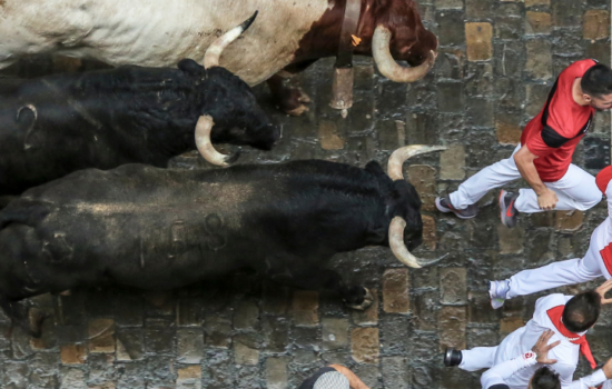 Spanish expression: Me pilla el toro - Learn Spanish - Speak Spanish - Study Spanish - Spanish sayings - Easy Español