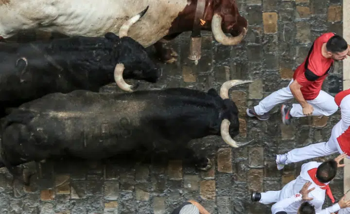 Spanish expression: Me pilla el toro - Learn Spanish - Speak Spanish - Study Spanish - Spanish sayings - Easy Español