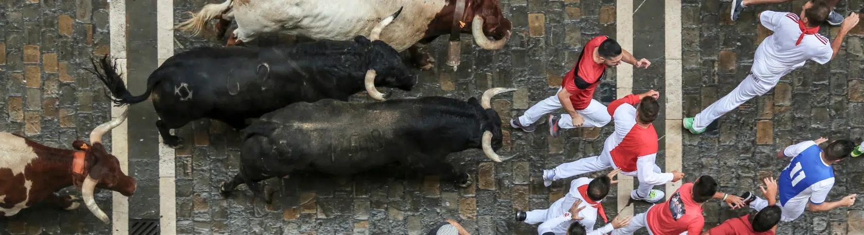 Spanish expression: Me pilla el toro - Learn Spanish - Speak Spanish - Study Spanish - Spanish sayings - Easy Español