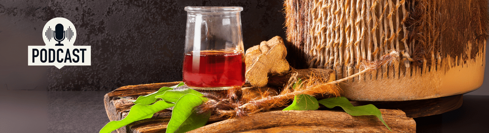 Spanish Podcast: Ayahuasca: A sacred ritual to cleanse the soul - Spanish on the Go - Spanish listening - Spanish practice - Speak Spanish - Learn Spanish - Easy Español