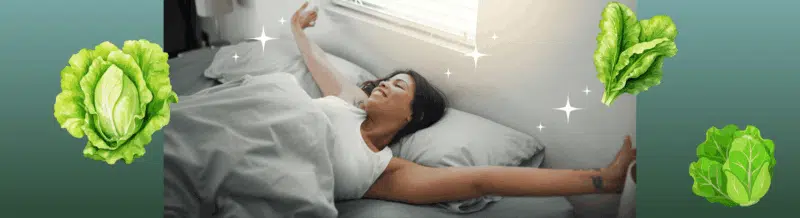 Saying of the Day: 'Estar fresco como una lechuga' - 'Ser más fresco que una lechuga' - Spanish expression - Learn Spanish - Practice Spanish - Speak Spanish - Easy Español