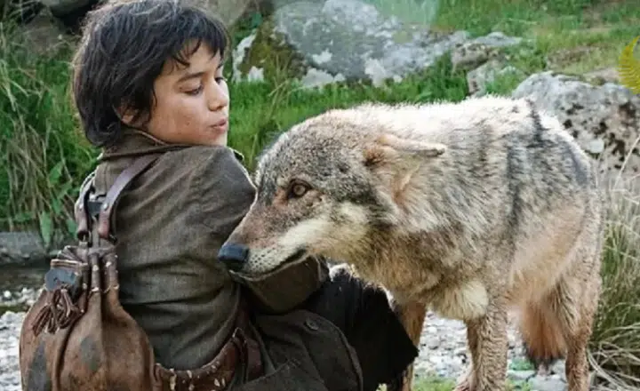 Spanish Podcast: The 'wolf child' who grew up in the mountains in Spain - Spanish on the Go - Spanish listening comprehension - Spanish audios - Spain - Spanish culture - Learn Spanish - Speak Spanish - Easy Español