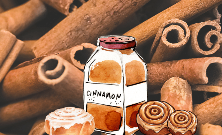 Listen to our Spanish Podcast to learn the fragrant and eventful history of LA CANELA - Spanish audio - Spanish on the go - Spanish listening comprehension - Sabías que - Fun Facts - Did you know... - Learn Spanish - Practice Spanish - Easy Español