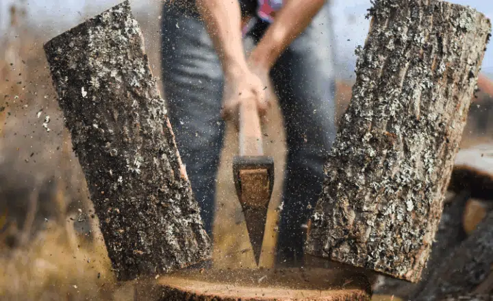 Spanish Saying: 'Del árbol caído, todos hacen leña' - Learn Spanish - Speak Spanish - Practice Spanish - Study Spanish - Easy Español