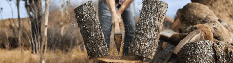 Spanish Saying: 'Del árbol caído, todos hacen leña' - Learn Spanish - Speak Spanish - Practice Spanish - Study Spanish - Easy Español