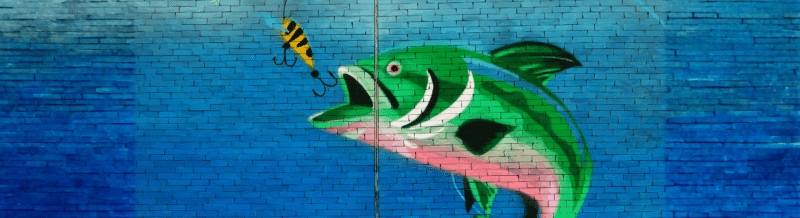 Spanish Saying: El pez por la boca muere - Learn Spanish - Speak Spanish - Spanish sayings - Spanish idioms - Practice Spanish - Easy Español