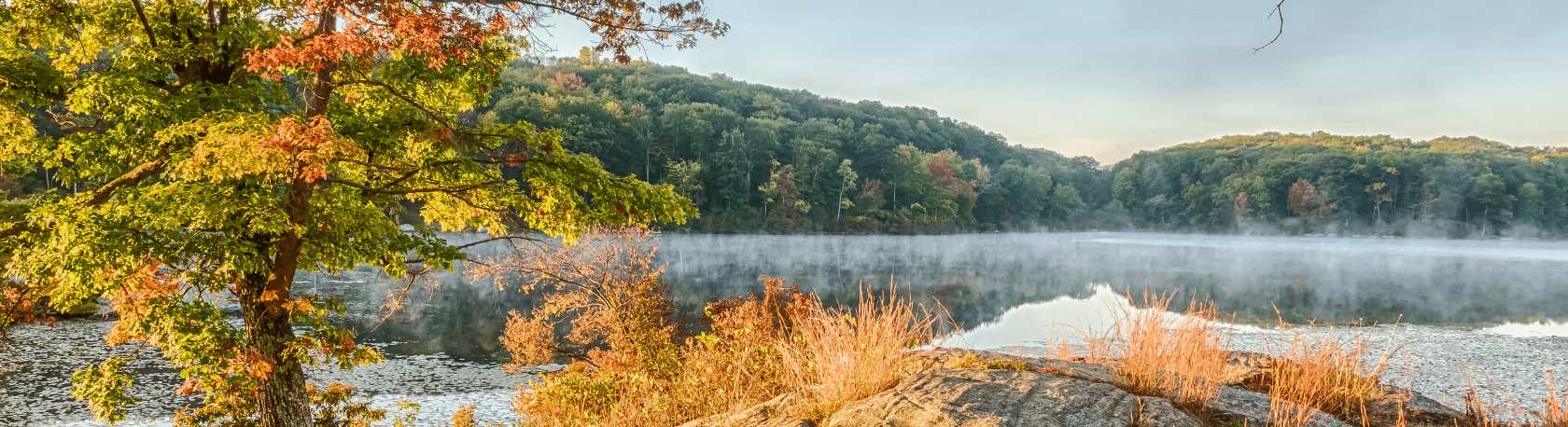 Spanish Walk & Talk through Fort Tyron Park + Dominican Brunch - Speak Spanish - Spanish in NYC - Spanish in NY - Practice Spanish - Easy Español