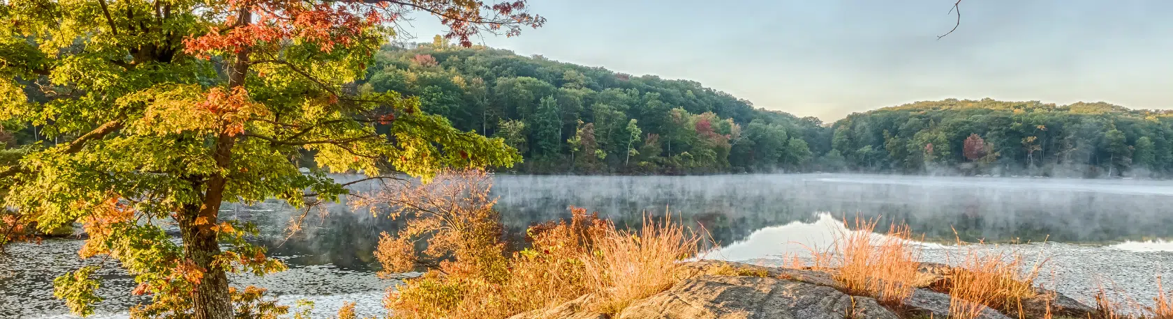 Spanish Walk & Talk through Fort Tyron Park + Dominican Brunch - Speak Spanish - Spanish in NYC - Spanish in NY - Practice Spanish - Easy Español