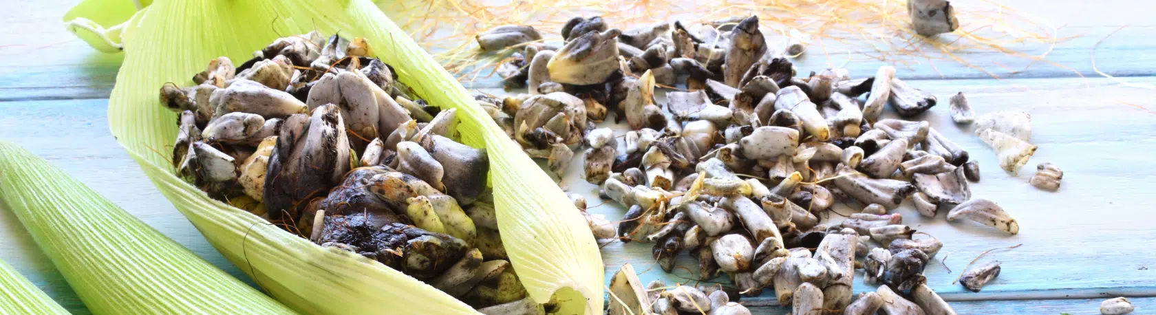 Discover why el HUITLACOCHE is known as the Mexican truffle with our Spanish Podcast - Spanish on the Go - Spanish audio - Spanish listening - Learn Spanish - Spanish audio - Learn Spanish - Speak Spanish - Easy Español